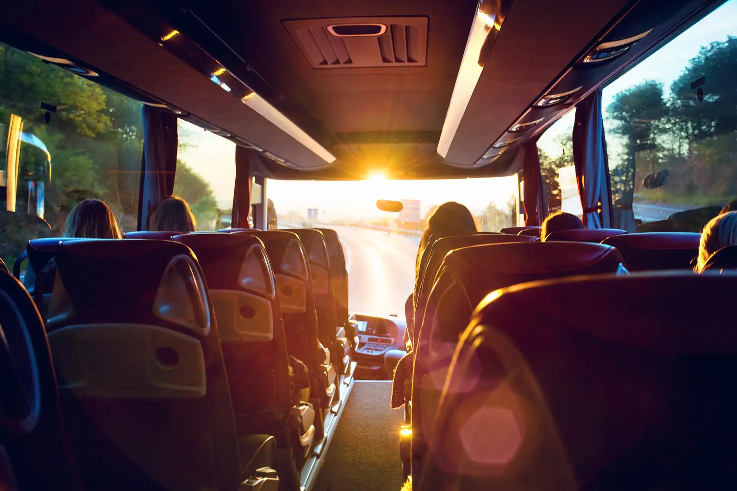 gruppresa buss